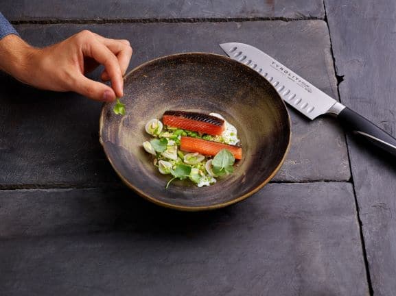 TYROLIT Life Iceline Santoku II Messer mit Gemüse und Lachs