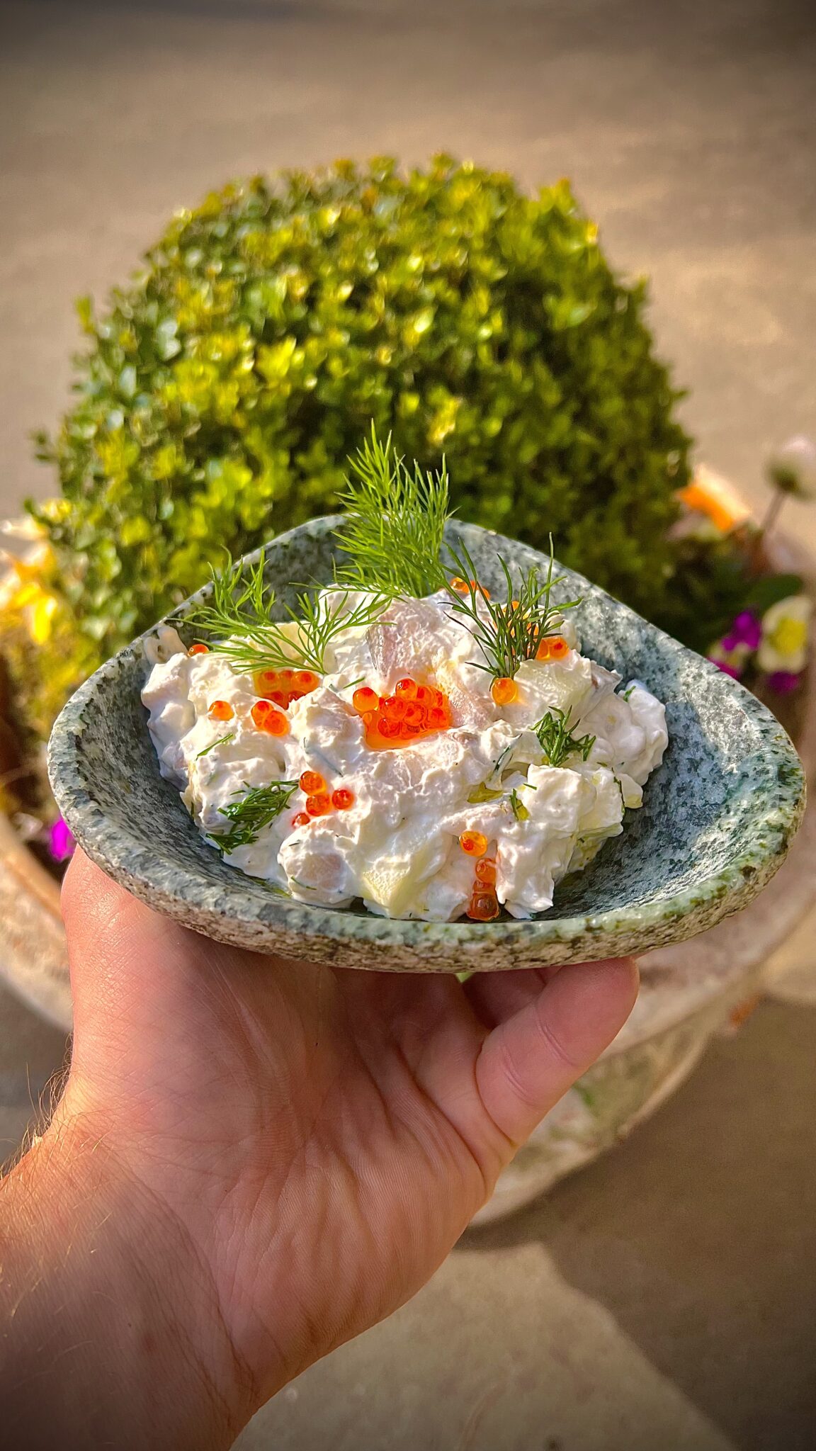 Cremiger Matjes mit Boskop-Äpfeln &amp; Sauerrahm Rezept | Tyrolit Life